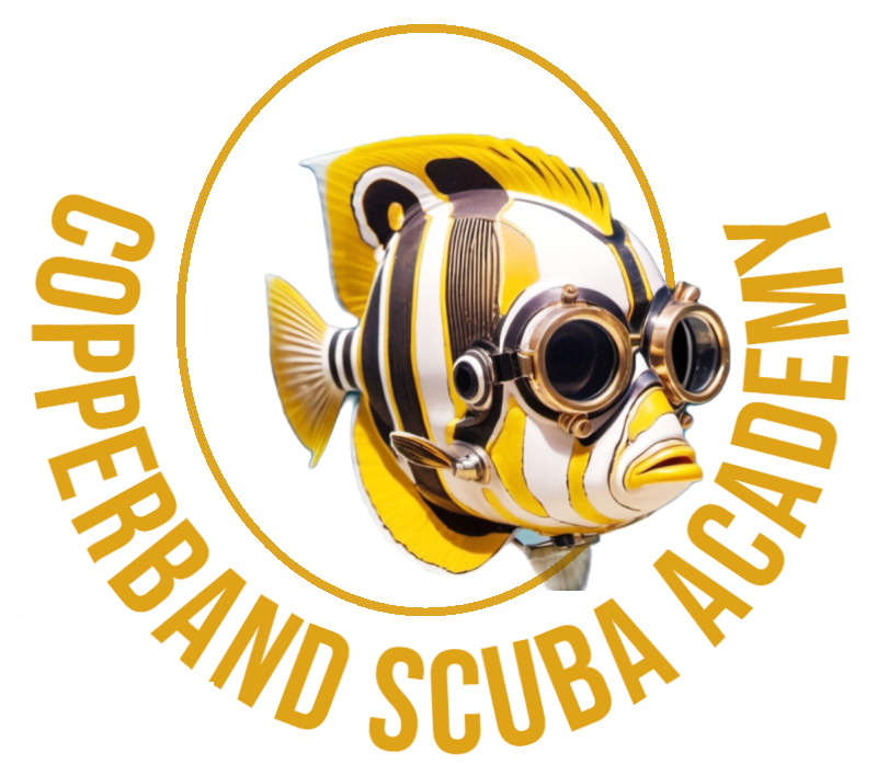 Co[[ernamd Scuba Academy