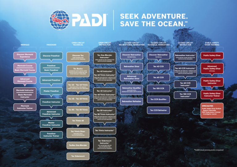 PADI Course Flow Chart