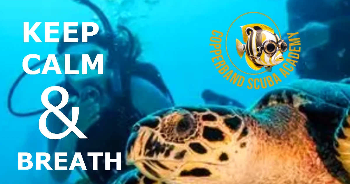 Keep Calm and Breath Scuba Diving Pattaya