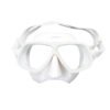 PSI Core Mask