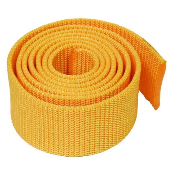 Deep Blue Weightbelt Webbing – product view 6