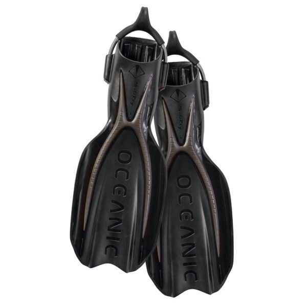 Oceanic Manta Ray Fins