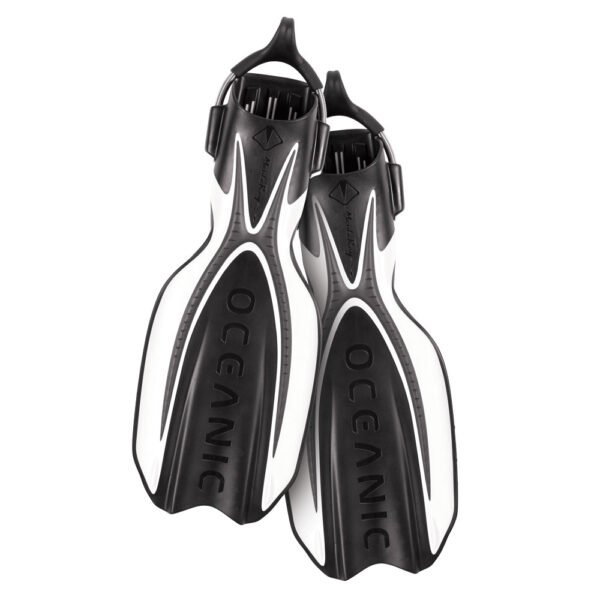 Oceanic Manta Ray Fins