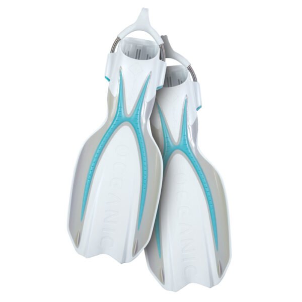 Oceanic Manta Ray Fins