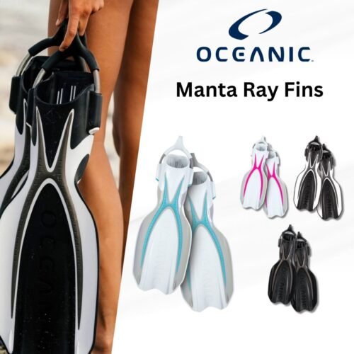 Oceanic Manta Ray Fins