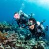 SP_637XXXX0_Everflex_Yulex_Steamer_95843.jpg Scubapro Everflex Yulex Dive 5/4mm Steamer – product view 3