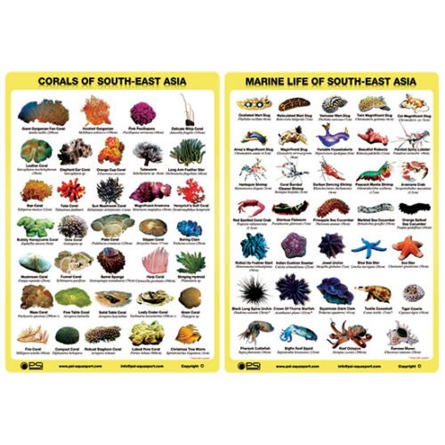 Fish ID Slates (Set of 2) Fish ID Slates (Set of 2)