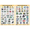 Fish ID Slates (Set of 2)